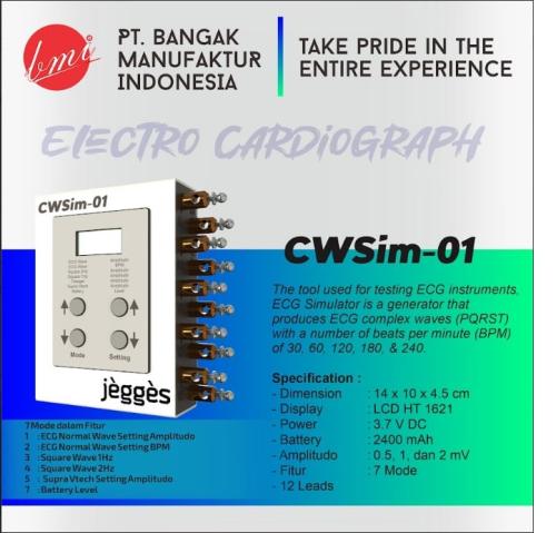 ECG Simulator